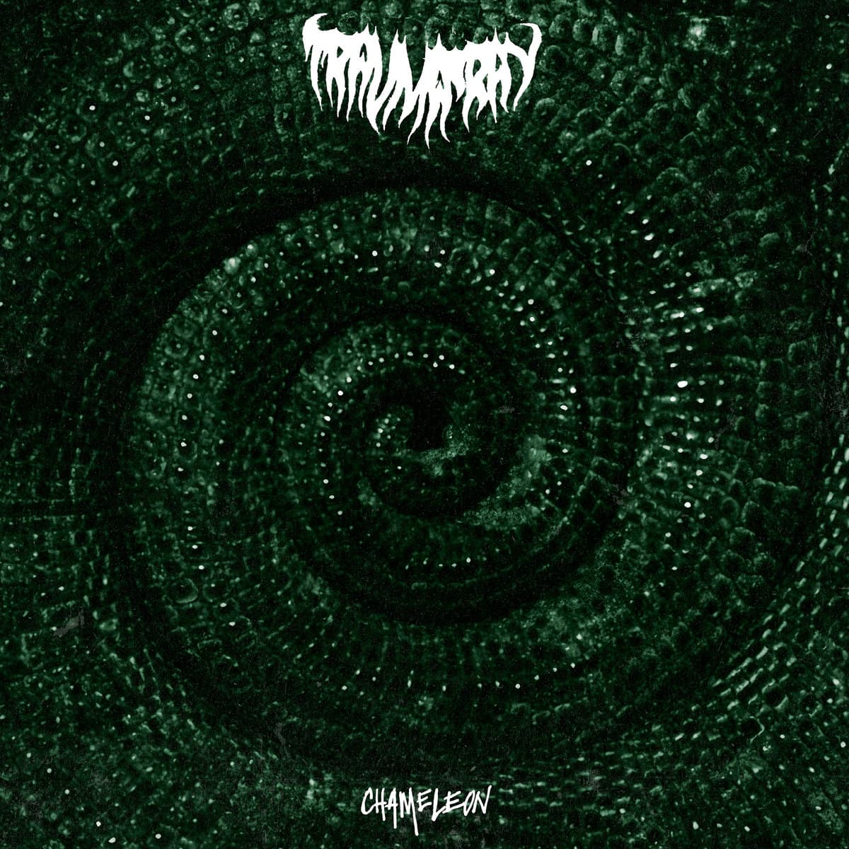 Album Review: "Chameleon" by Trauma Ray 